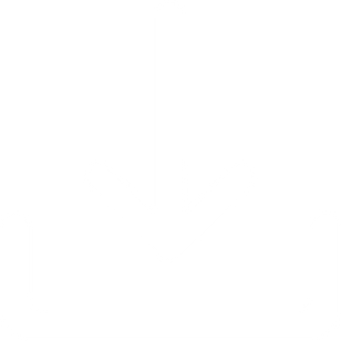 téléchargement CV
